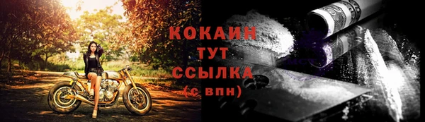 шишки Каменск-Шахтинский
