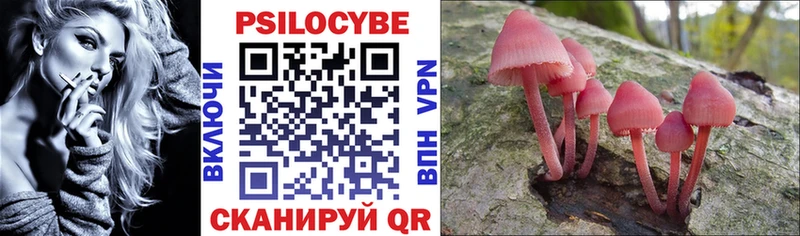Галлюциногенные грибы прущие грибы  Купить где  Безенчук